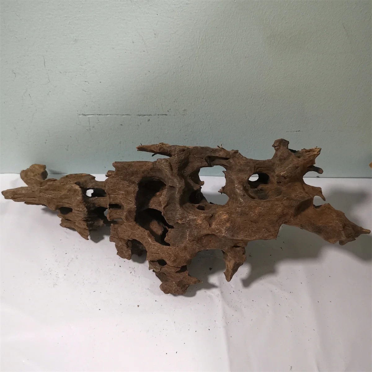 fish tank tree trunk 5-40cm Shrimp wood climbing aquarium aquarium view hidden hole house cultivation pottery pot shrimp shed