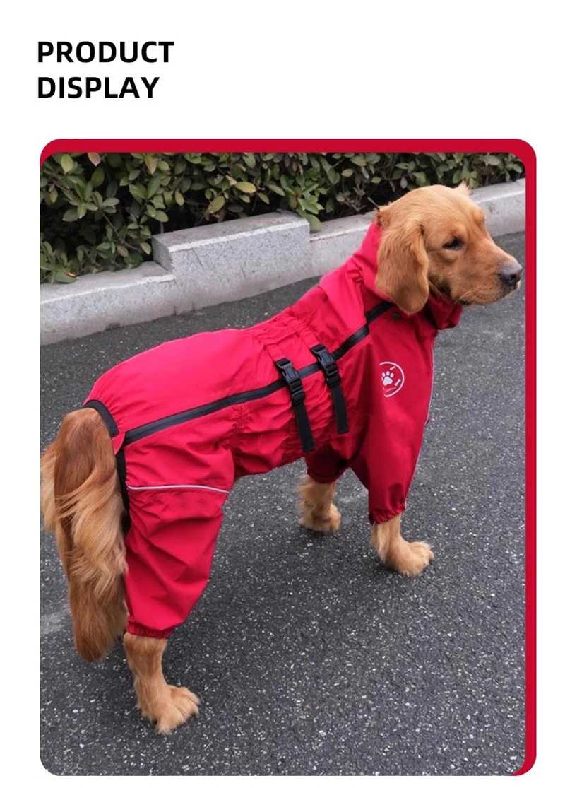 2025 Giacca da esterno per can - Winter Clothing For Dogs recensione e prezzo