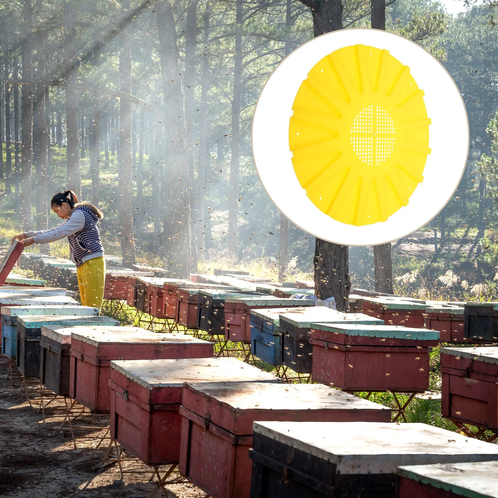 2Pcs Beekeeping Tools Export Tray Bee Circular Plastic Escape Board for Honey Bee Colony Transfer 16-Channel Hive Tool