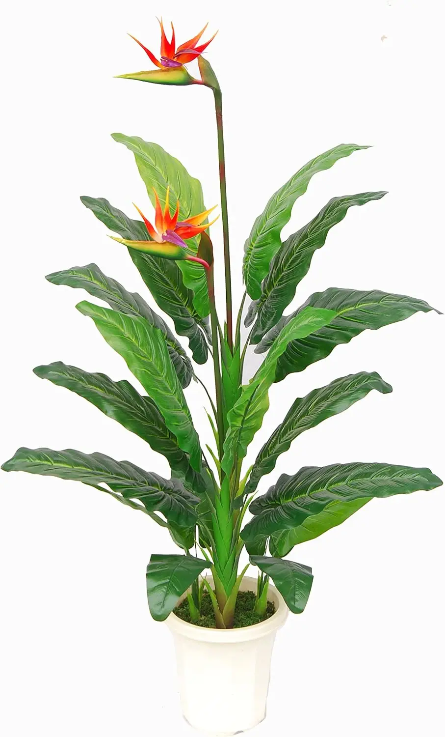 

Изумительное искусственное цветочное растение «Птица Райская» высотой 5 футов, в пластиковом горшке, с эффектом живого цветка, с защитой от УФ-излучения