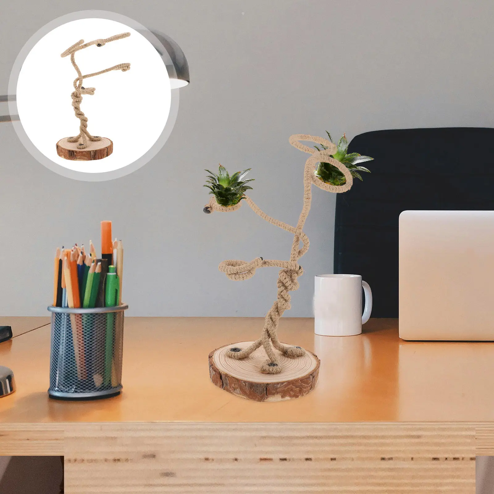 

Tabletop Air Plant Stand Functional Decorative Rack for Tillandsia and Artificial Plants Ventilated Planter Display for Home