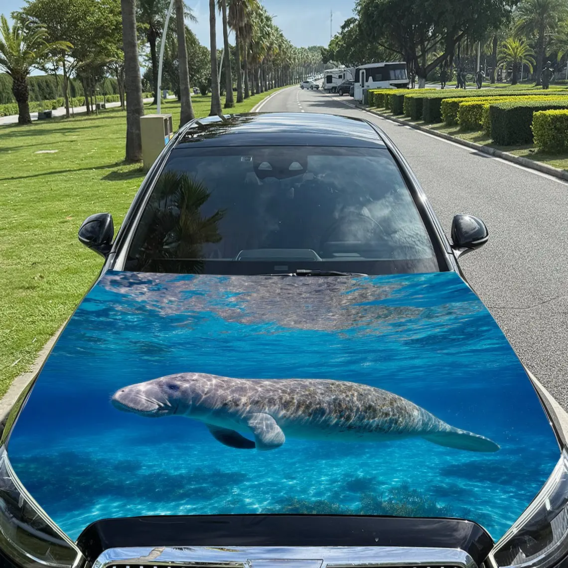 

Car Decals Manatee in Blue Ocean Car Hood Sticker, Waterproof Self - Adhesive Vinyl Graphics Decals, Decorative Protective & Scr
