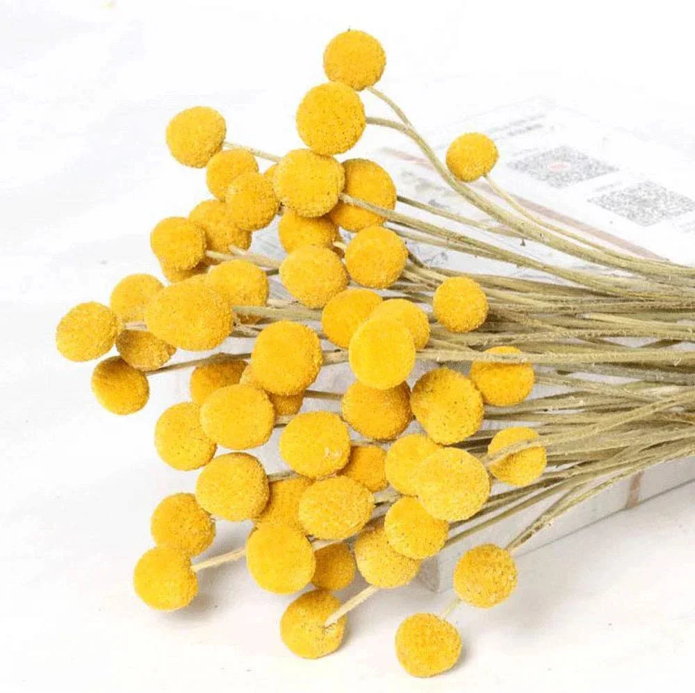 Thumbnail 3 - #12 Top Dried Flowers Picks for Every Budget