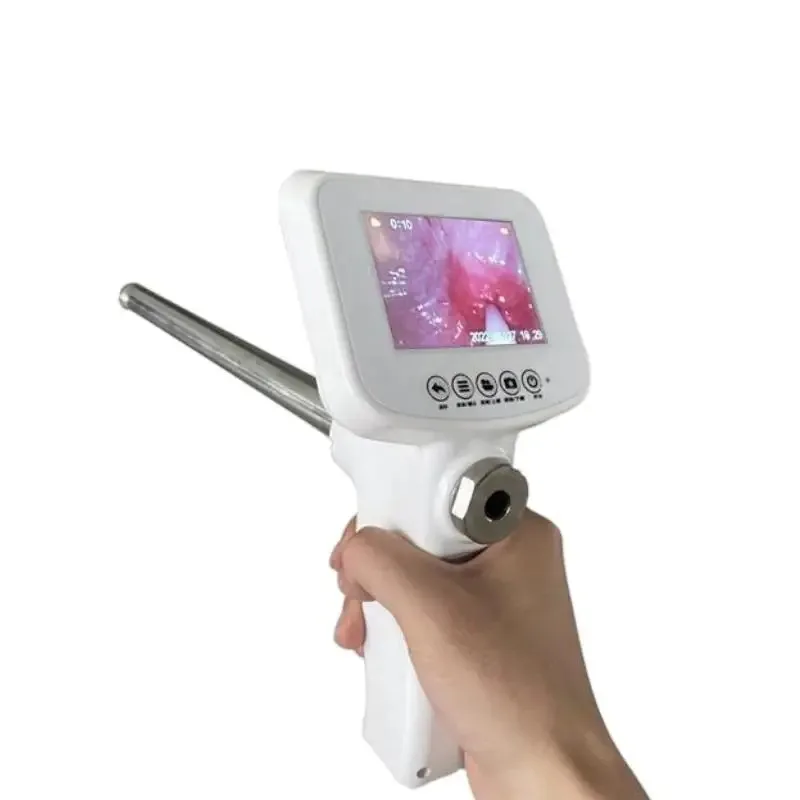 [Hot Sale] Portable Rechargeable Visual Insemination For Cattle With Constant Temperature Heating Livestock Breeding Equipme
