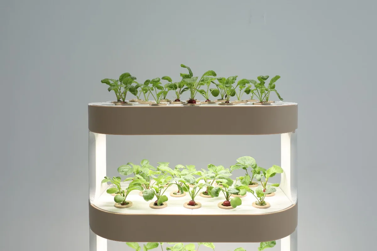 Indoor Vertical Garden Hydroponic Growing System Home Planter for Leafy Vegetables Pump As Core Component