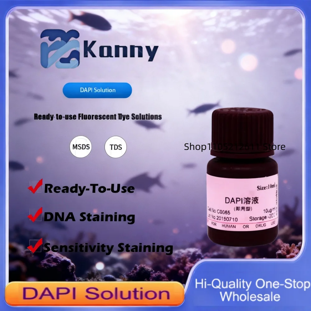 DAPI Solution Ready-to-Use for DNA Staining in Fluorescence Microscopy Original Product
