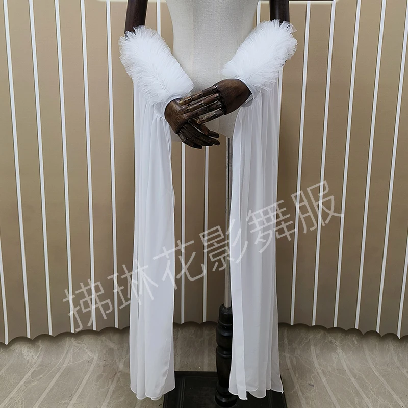 

Ballroom Dance Performance Dress with Fluttering Sleeves, Competition Dress Accessories, Ballroom Dance Practice Dress, Dress with Arm Sleeves and 3D Floral Decoration