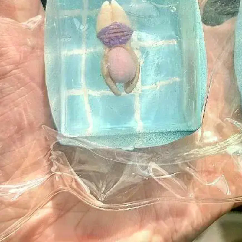 

1pc Swimming Pool Squeeze Toys Maltose Stress Relief Slow Rebound Antistress Toy Squishy Stress Reliever Toys