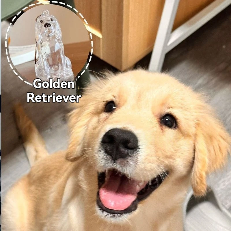 الكلب الشعر جمع قلادة صندوق تخزين الشعر حقيبة سحر الحيوانات الأليفة لطيف سلاسل المفاتيح واضح الاكريليك شعر الحيوانات الأليفة كبسولة تذكارية DIY بها بنفسك الهدايا #5