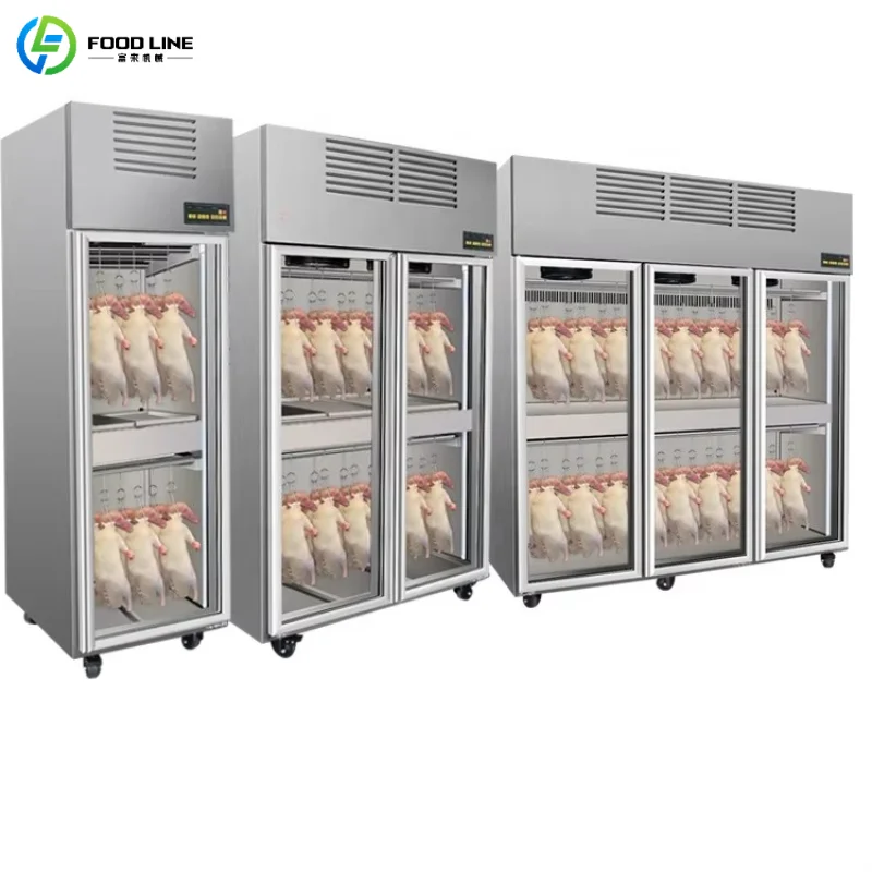 Customized Home Dry Aging Cabinet with Glass Door Compact Dry Ager Refrigerator Precise Temperature Meat Curing Fridge for Steak
