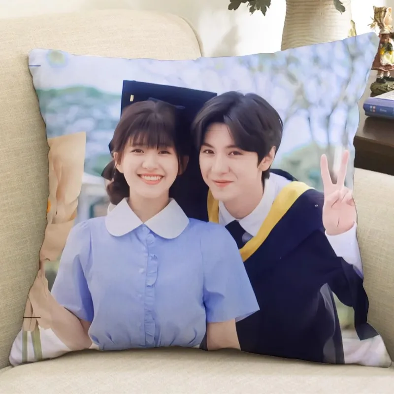 Chinese Drama Hidden Love Tou Tou Cang Bu Zhu Chen Zhe Yuan Duan Jia Xu Surrounding 35x35cm Pillows Cover Cusion Covers