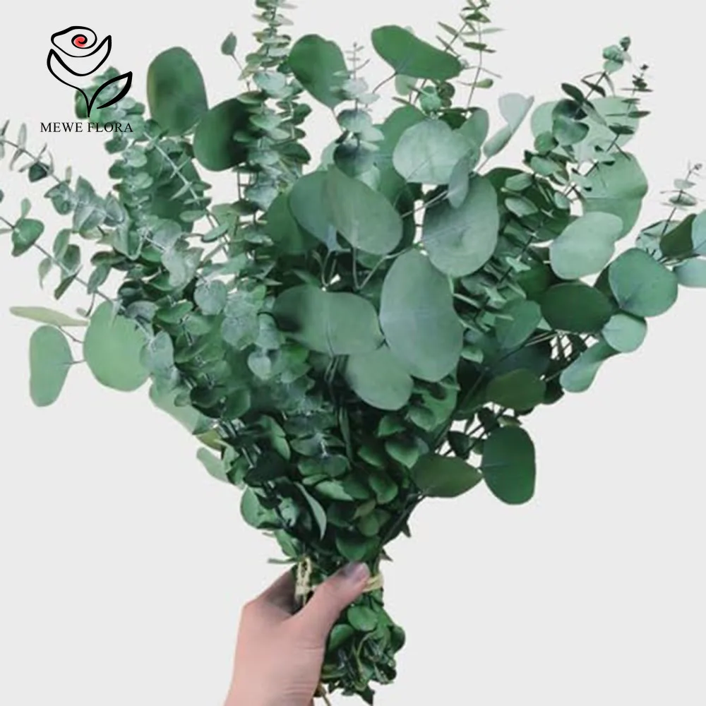 Main