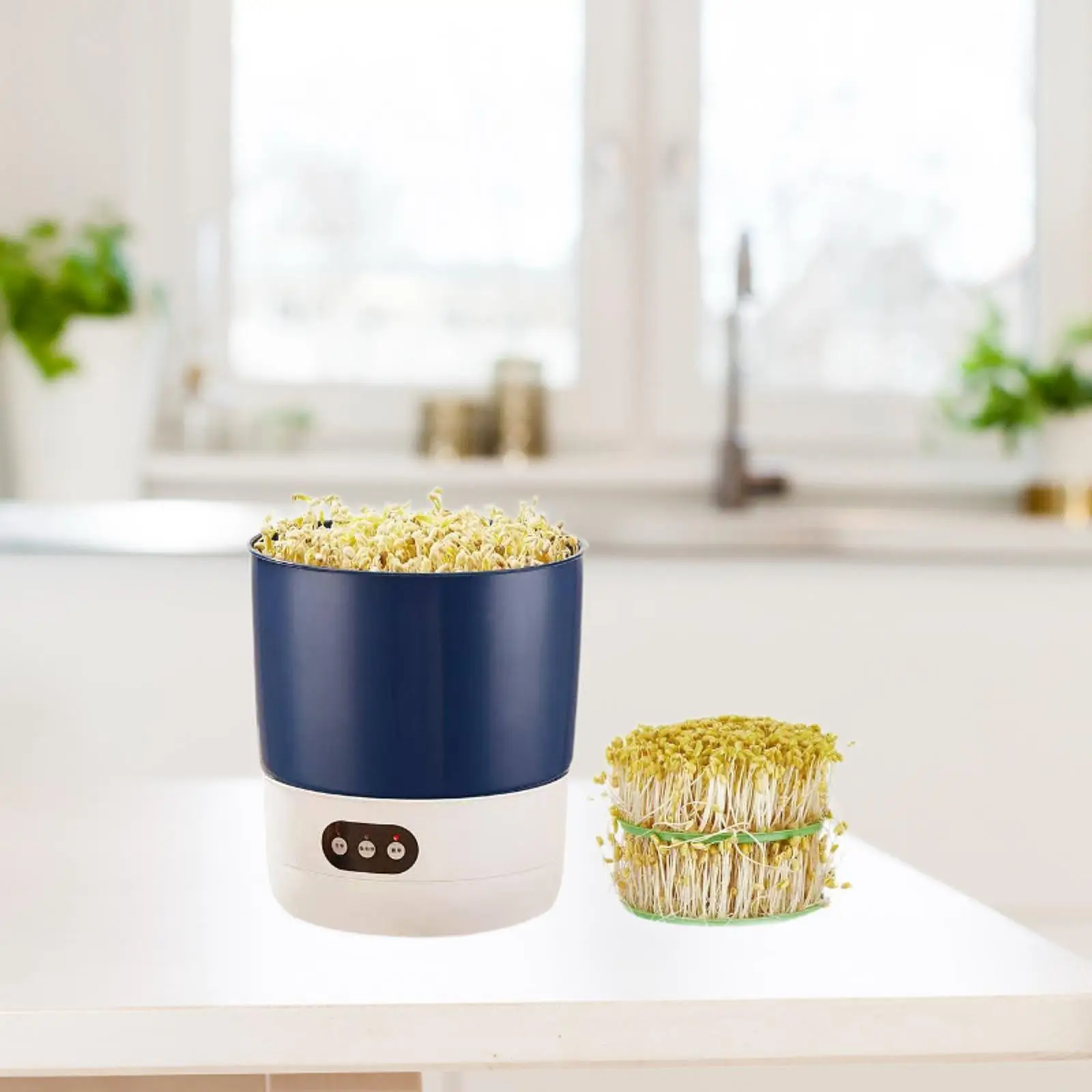 Home Use Bean Sprouts Machine Adjustable Sprouter Large Capacity PP Plastic Grower for Healthy Vegetables