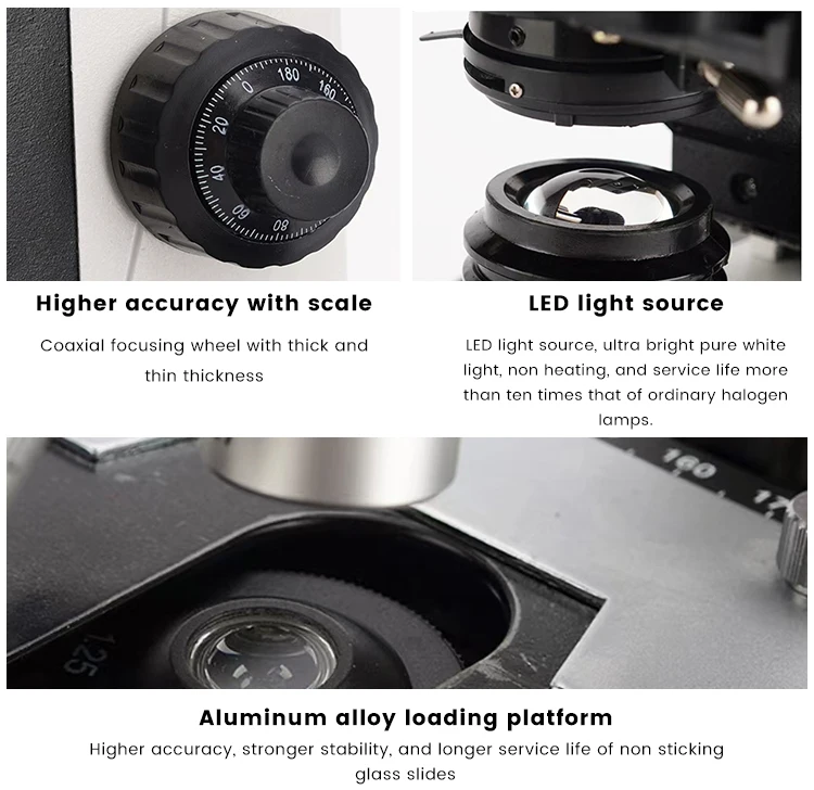 Microscope binoculaire numérique Seattle avec lumière LED, binoculaire, laboratoire et école