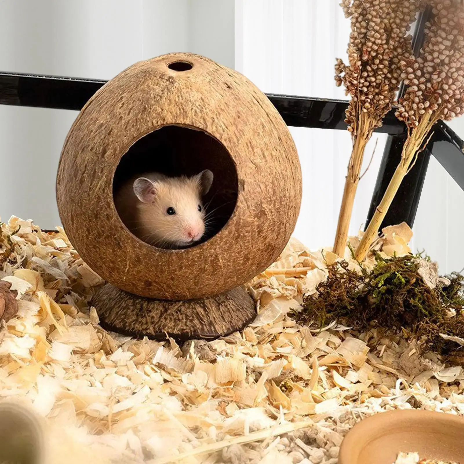 جربيل هاوس 5.3 × 4.7 بوصة ملحقات الهامستر حاوية مقاومة للمضغ مع قاعدة مضادة للطرف موئل الكهف لأرنب القنفذ جربيل #3