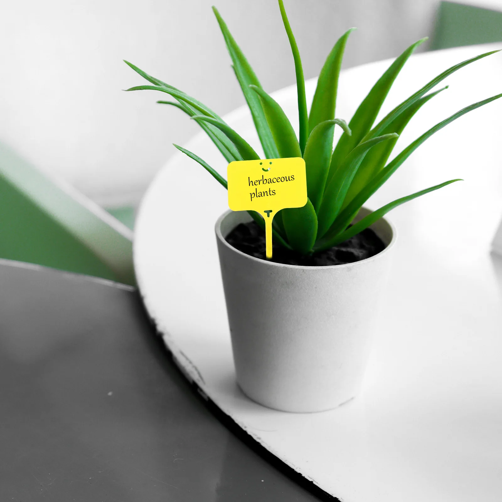 

100Pcs Plant Marker Stakes T-Type Plastic Tags Durable Weatherproof Garden Labels for Outdoor Nursery Plants Plant Markers