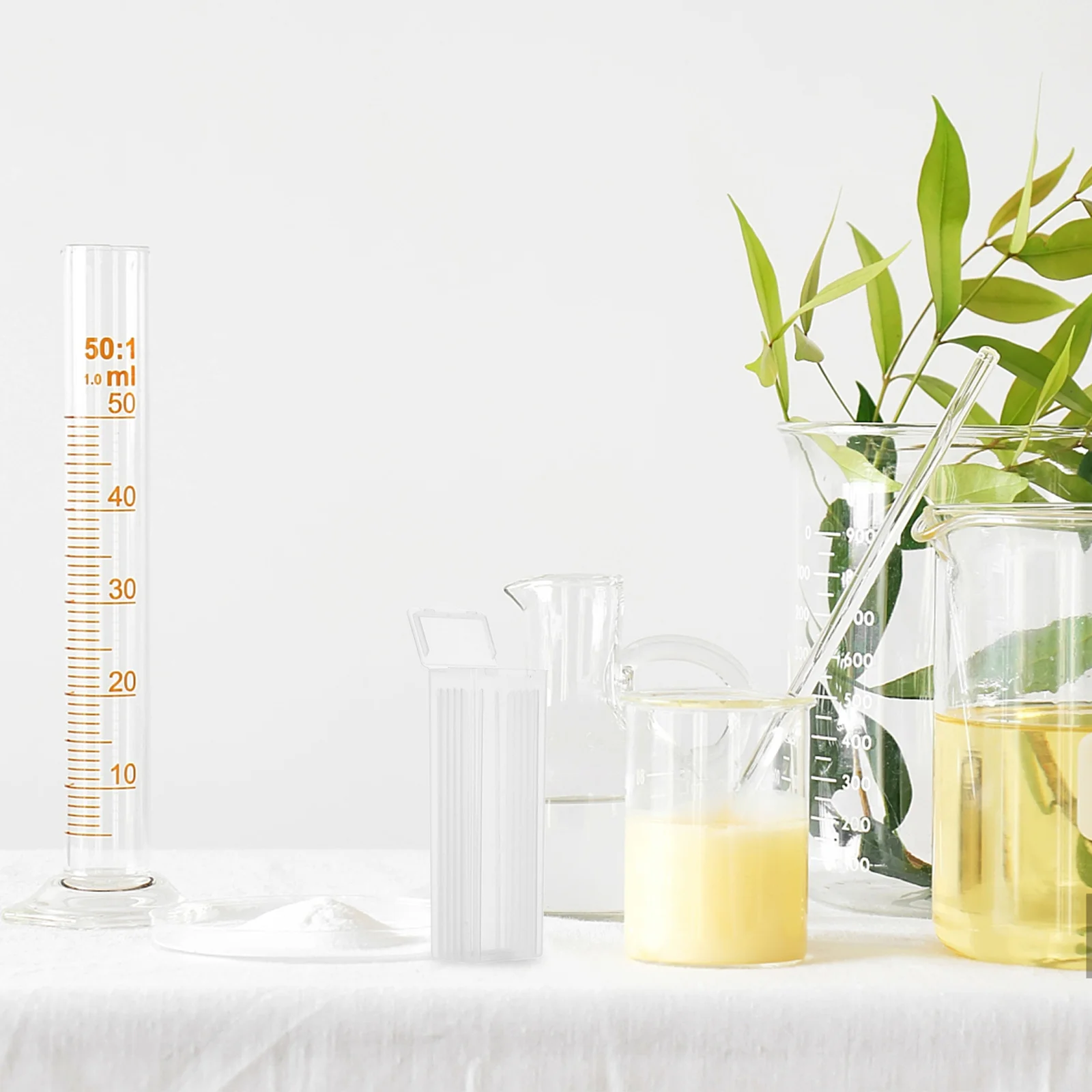 

10 Pcs Microscope Slide Case Plastic Slides Holder Storage Laboratory Accessories