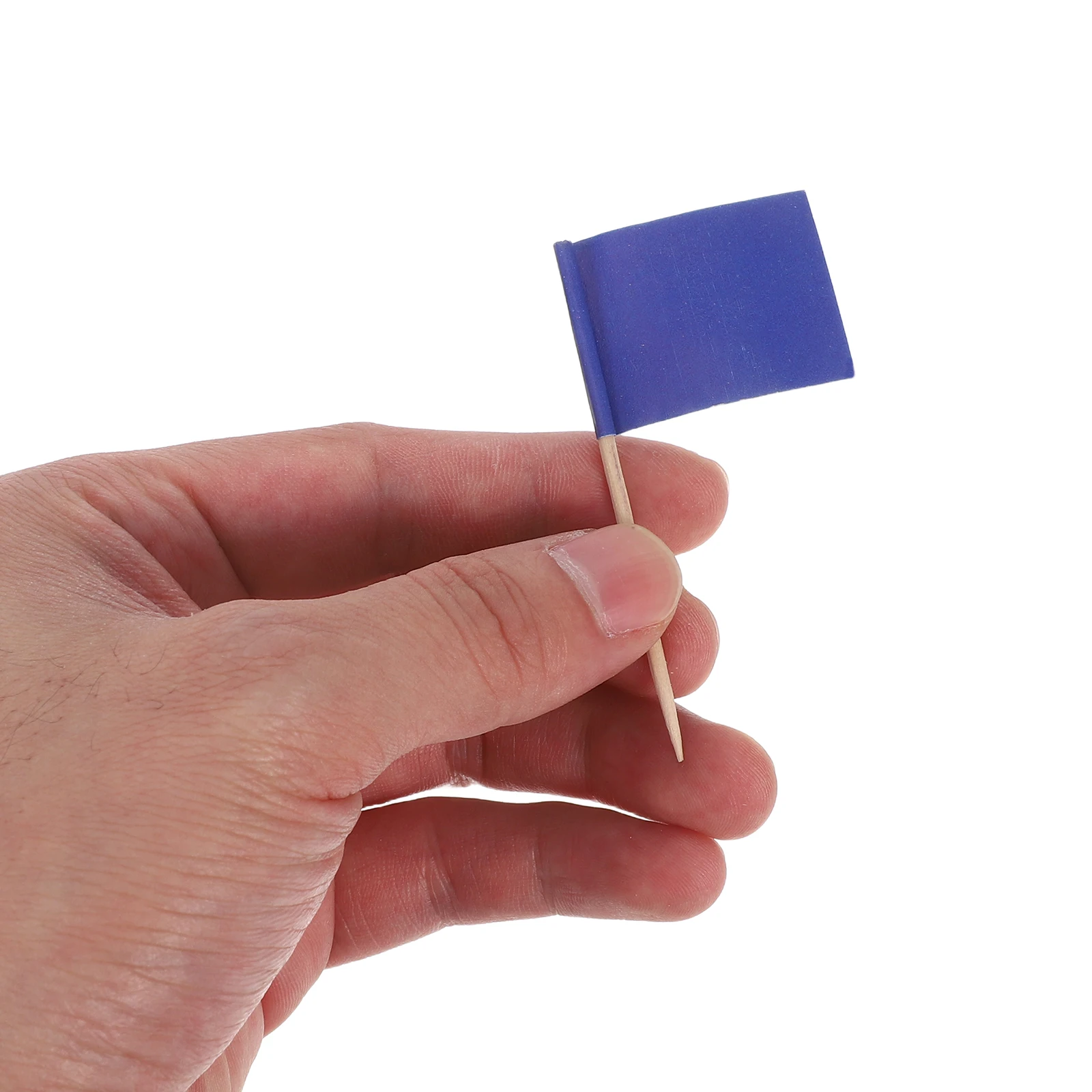

100pcs Cheese Markers Flags Blue Toothpick Food Labels Cupcake Toppers Party Birthday Celebration Decor Charcuterie Board Picks