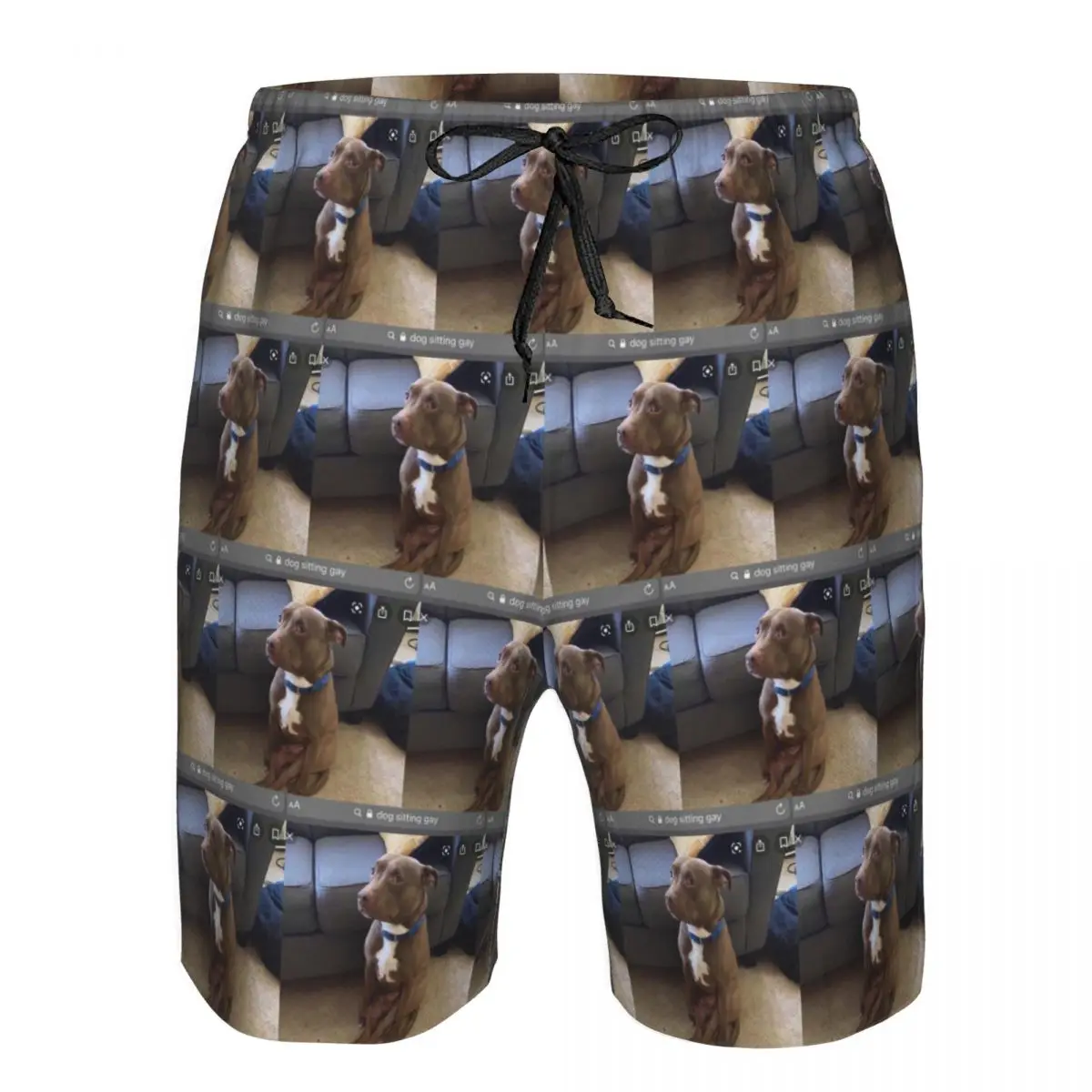 Dog Sitting Gay Trunks Beach Board Shorts Casual Quick Dry Swim Summer Men Pants