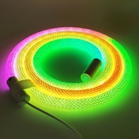 360 Degree Round Reticulate RGBIC Neon LED Strip Lights USB 5V Smart Bluetooth Silicon LED Neon Light Rope Room Decor