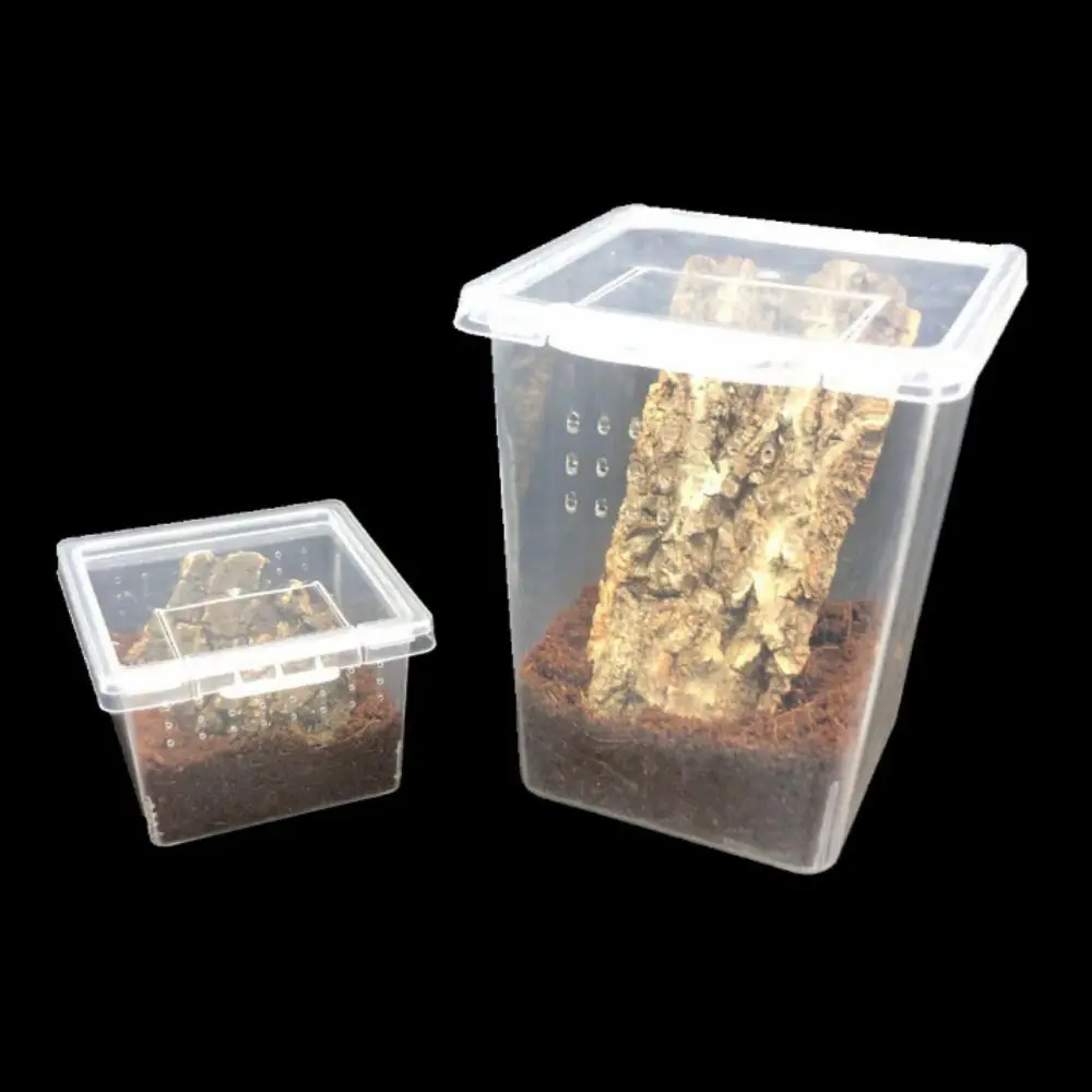 1Pc Plastic Reptiles Living Box Transparent Reptile Terrarium Habitat for Scorpion Spider Ants Lizard Breeding Feeding Case