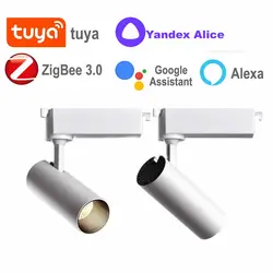 Spot Led Track Light Zigbee Tuya Smart Home Assistant Dimmable Lamp Alice Alexa Track Rail Commercial Gallery Clothing Store