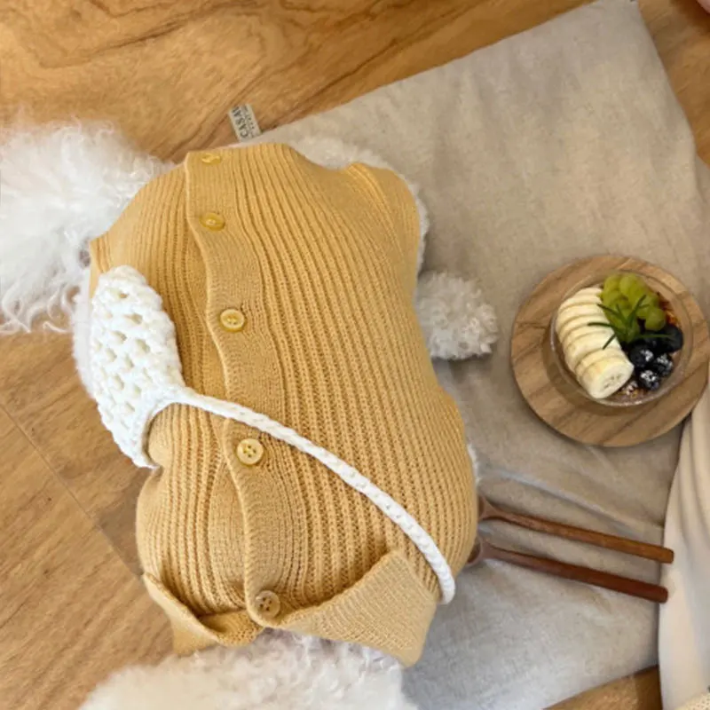 Sweet Style Pet Sweater Winter Warm Dog Clothes Teddy Solid Knit Clothes Simple and Cute Pullover Send Bag XS-XL