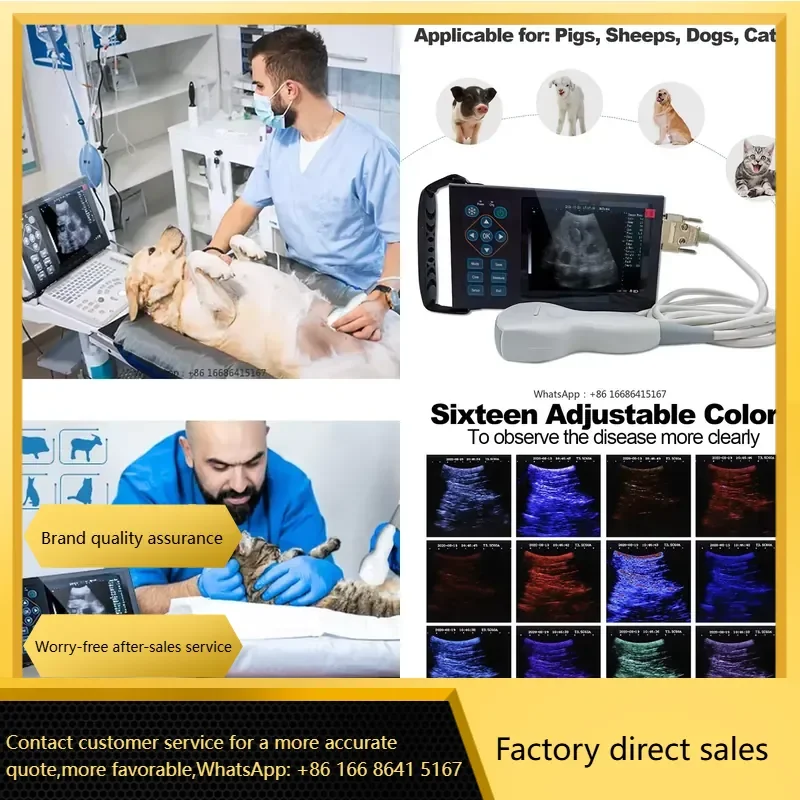 A10 Sixteen Colors Fast Measurement Animal Price Vet Machine Veterinary Portable