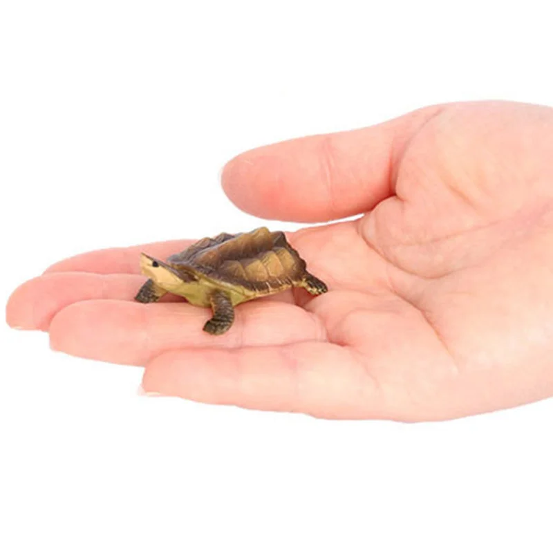 جديد محاكاة الزواحف الحيوان السلاحف الصغيرة شبل نموذج عمل تمثال أرقام جمع الدمى ألعاب تعليمية للأطفال هدية #3