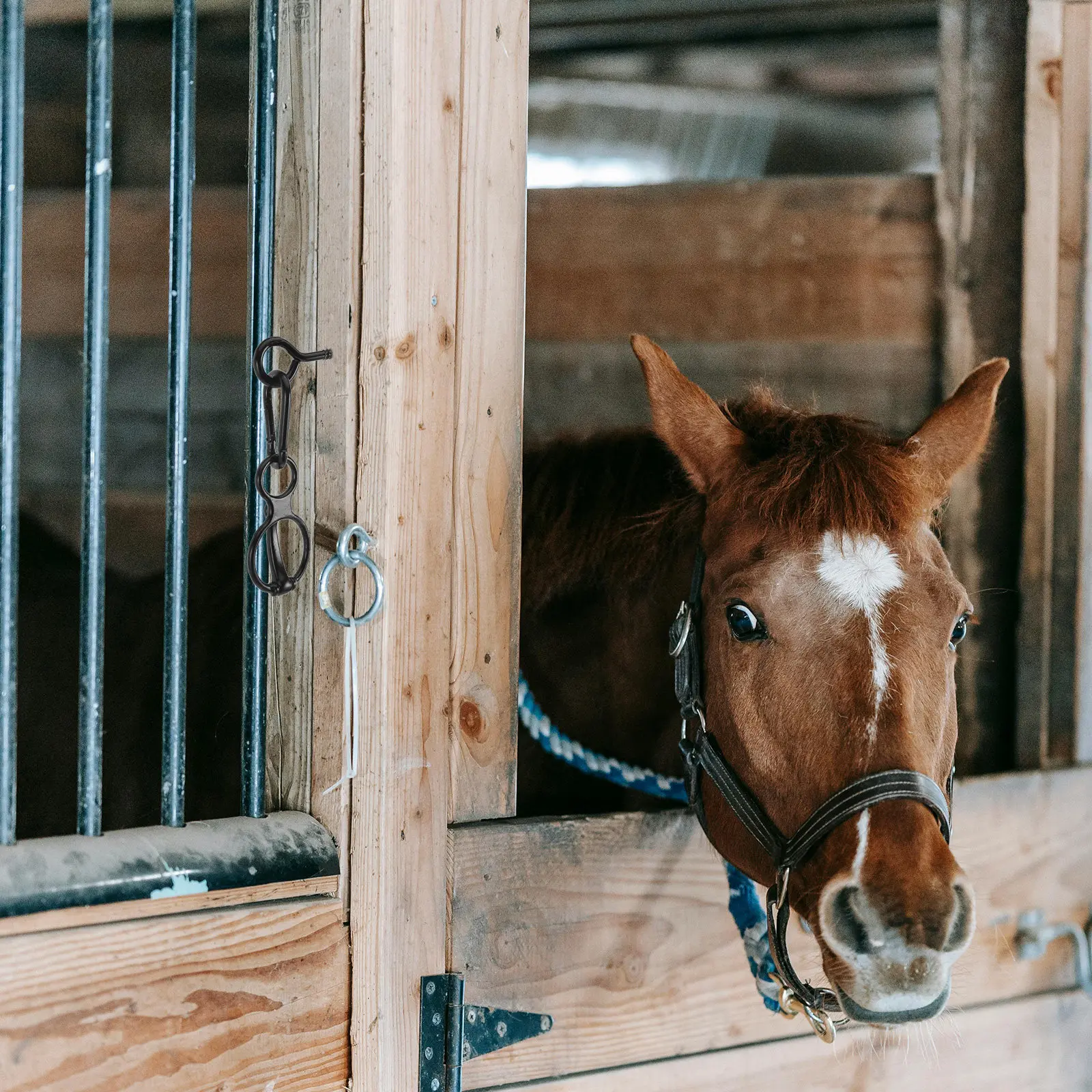 heavy-duty-horse-tie-ring-stainless-steel-safety-anchor-eye-bolt-equine-barn-hardware-stable-fencing-tack-training-equipment