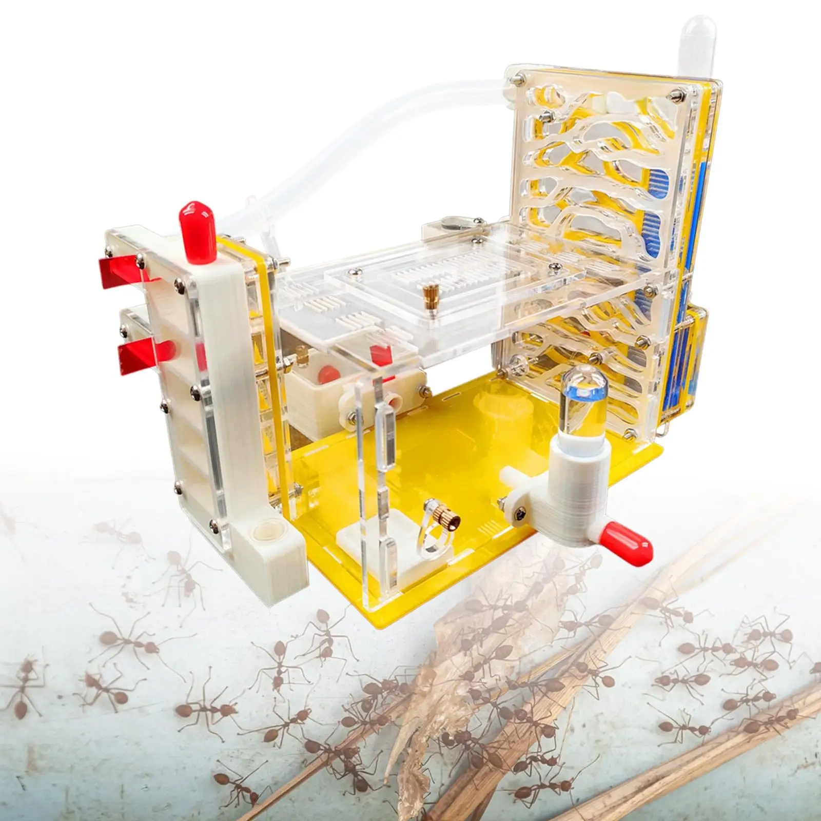 

DIY ANT Farm Castle Science Kit House Villa for Home School Students