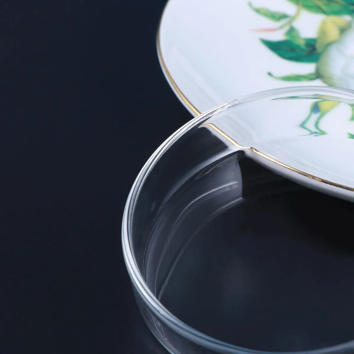 

Clear Glass Shrimp Feed Dish Durable Floating Feeding Bowl Fish Reptile Tank Supplies Shrimp Food Round Dishes