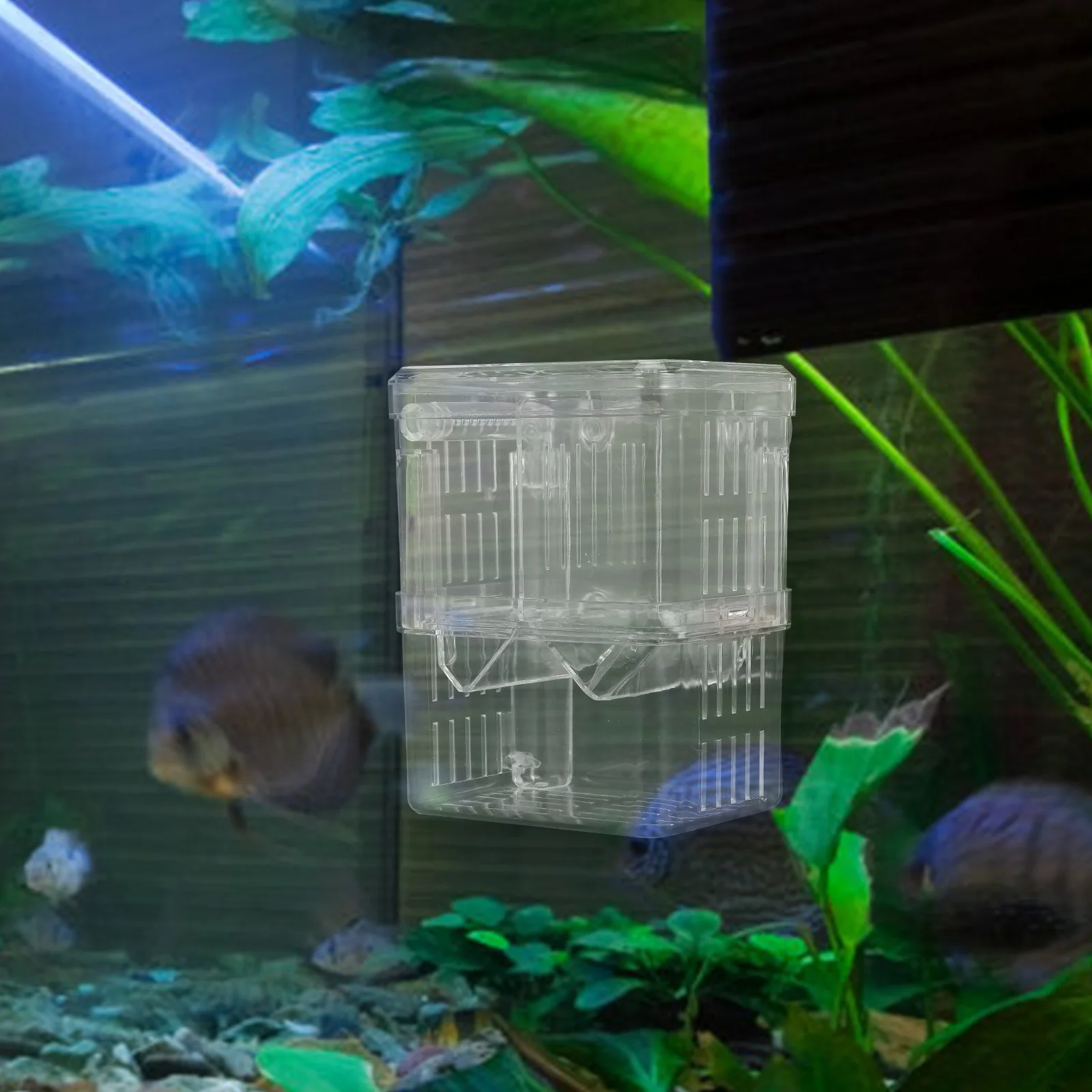 

Double Layer Fish Breeding Box Aquarium Divider Transparent Fish Isolation Hatchery Incubator Suction Cup Betta Shrimp Tank
