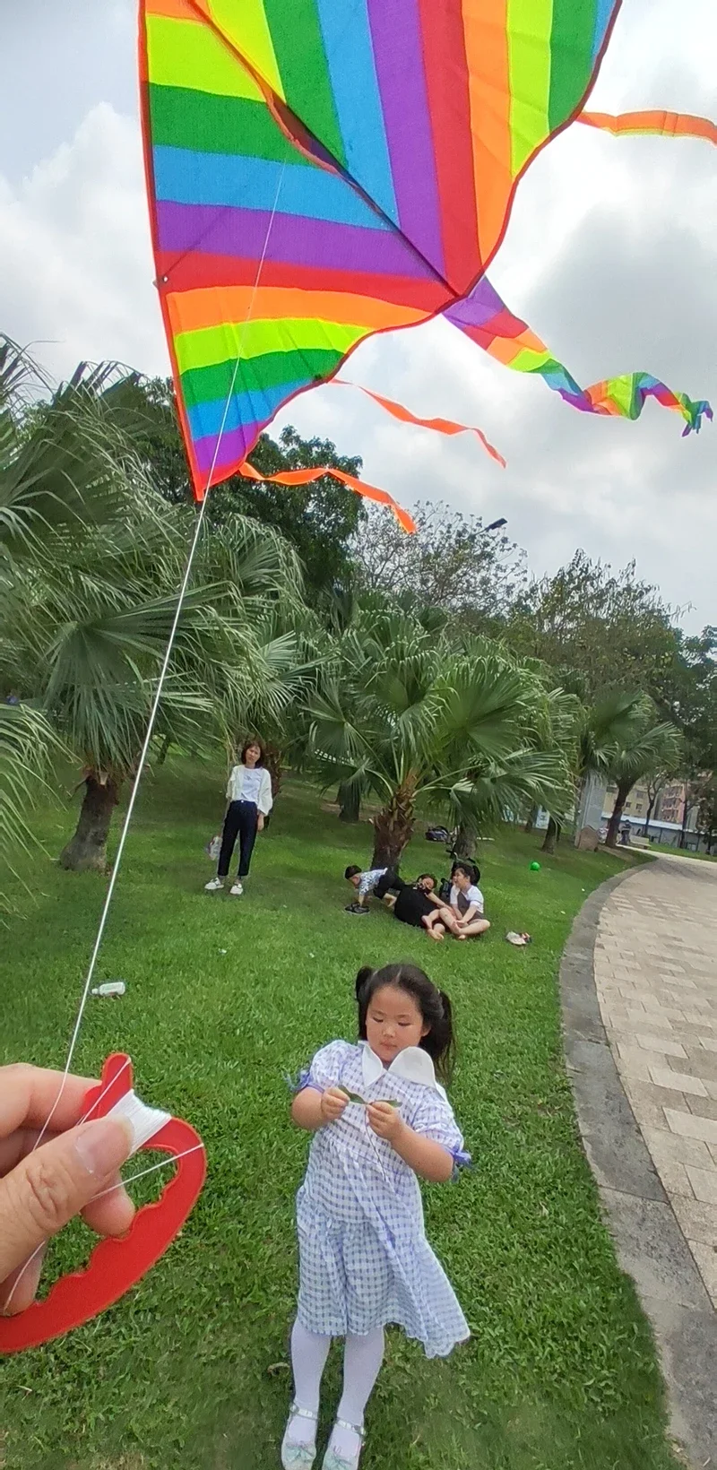 Bunte erwachsene Drachen Outdoor-Spielzeug großen Dreieck Drachen mit Griff langen Schwanz Drachen für Kinder Regenbogen Nylon Geschenk für Erwachsene