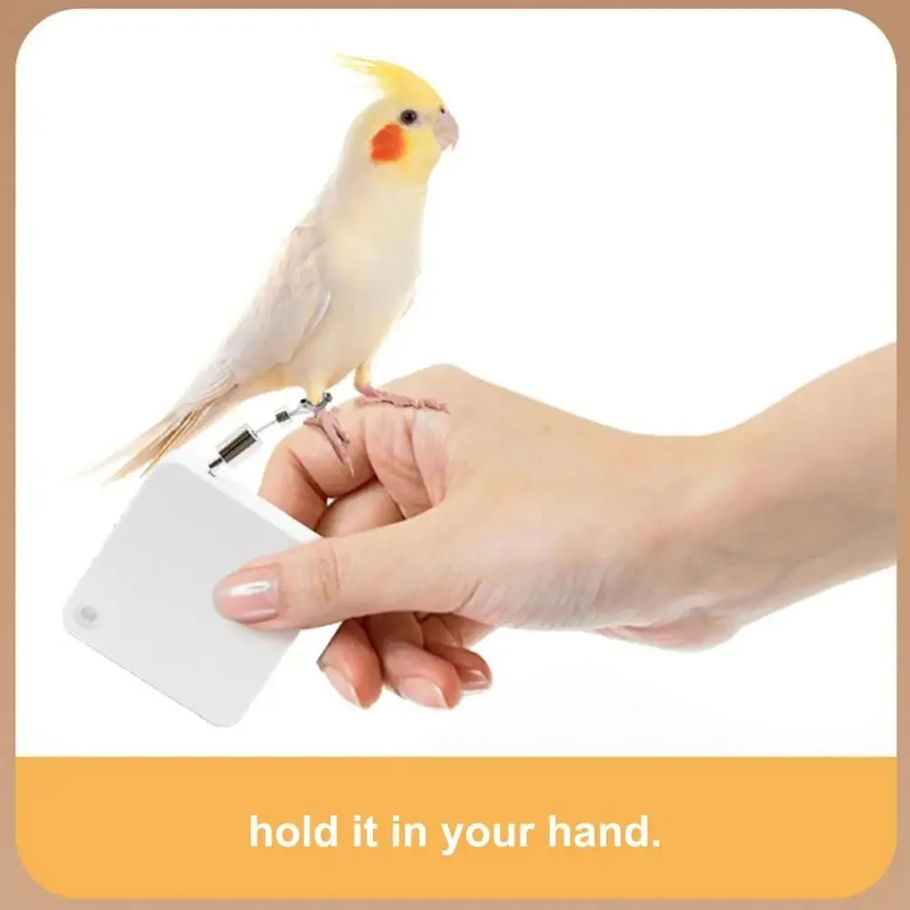 With Auto Flying Control Bird Training Leash Auto Retractable Fun Parrot Release Rope Adjustable Cockatiel Harness Leashes