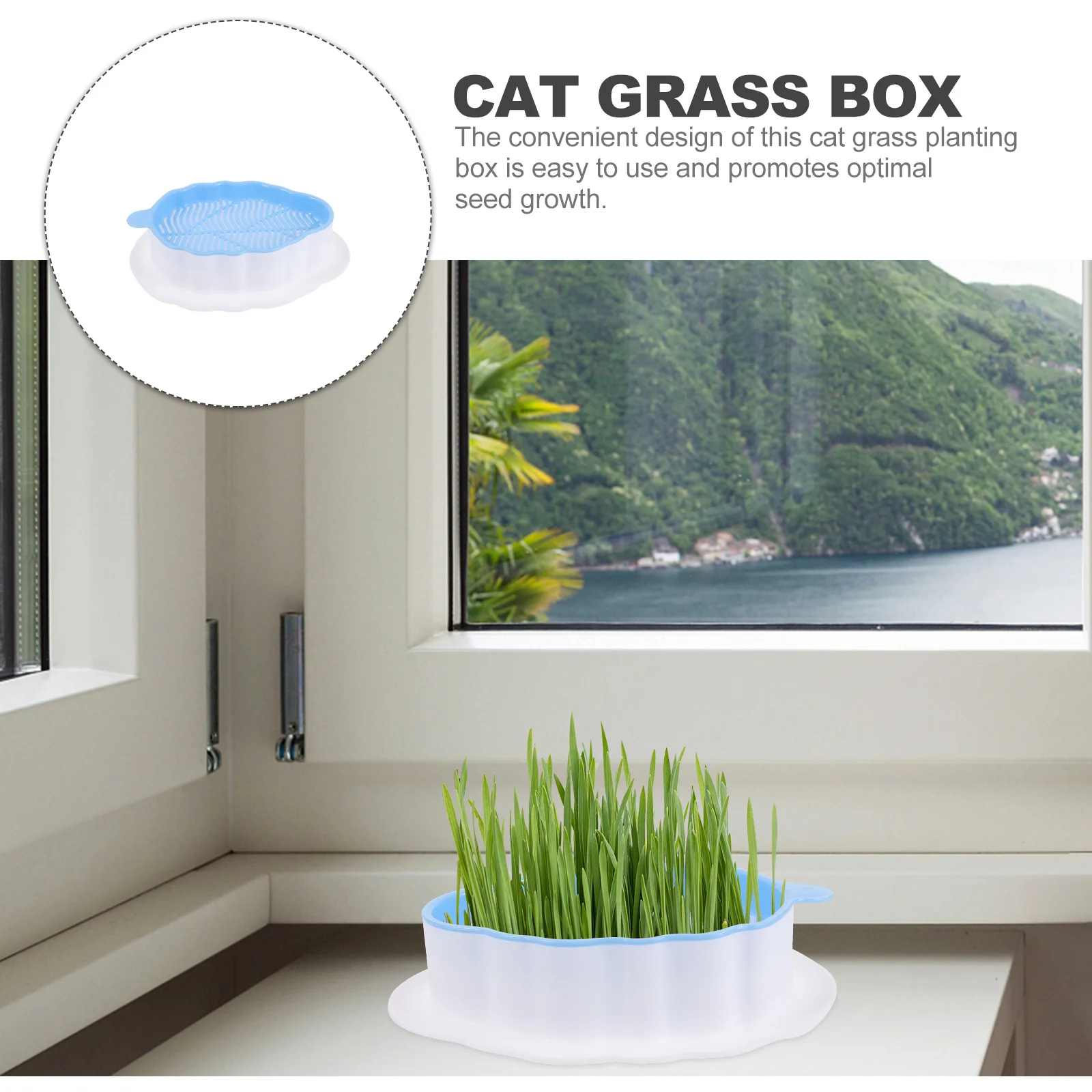 

Cat Grass Box Practical Hydroponic Soilless Catnip Planting Box Household Cat Grass Planter Easy Clean for Pets