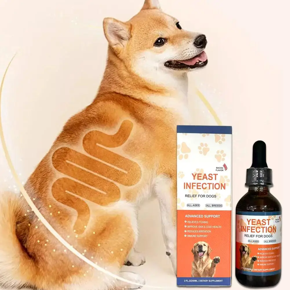 Thumbnail 4 - #25 Trending Dog Coats Right Now