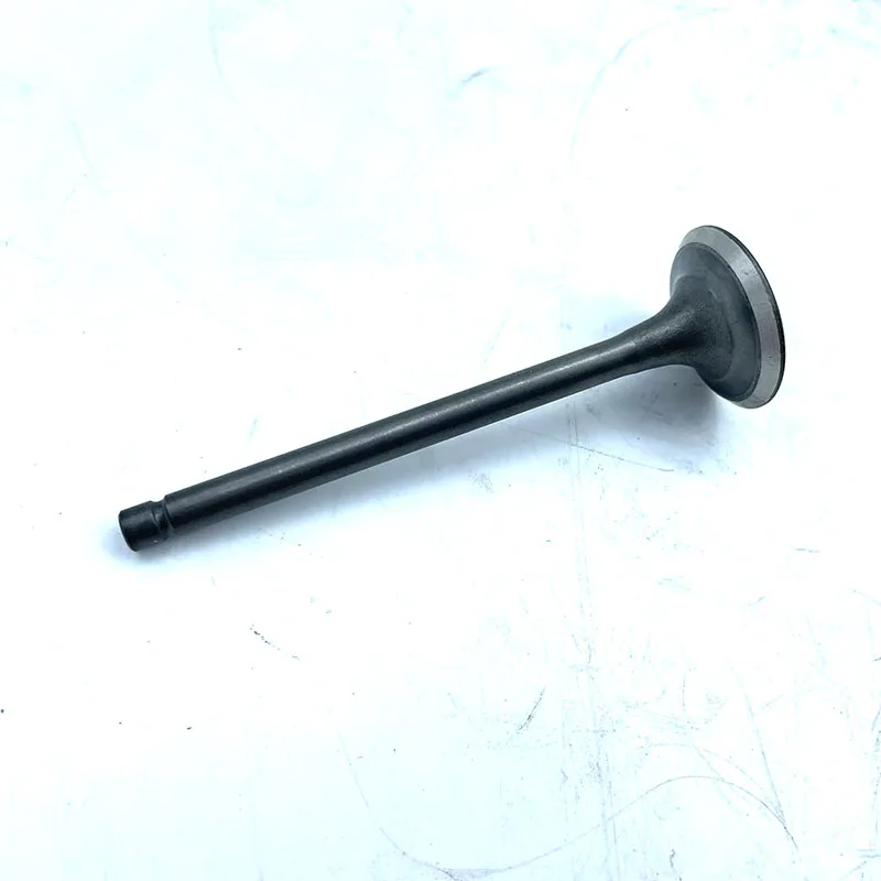 BUYANG 300 D300 H300 G300 ENGINE EXHAUST VALVE 2.1.01.0450