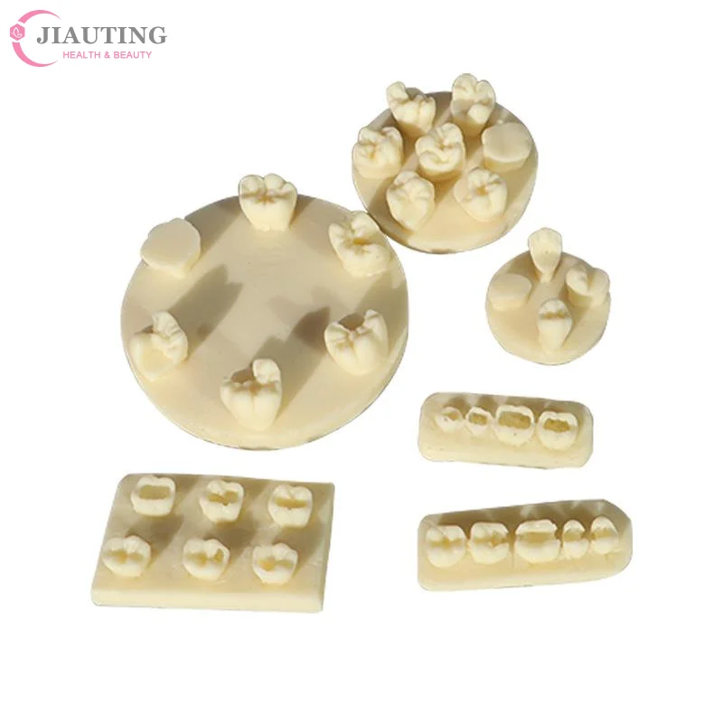 1PCS Resin Tooth Morphology Practice Model Root Canal Filling Inlay Resin Module For Dental Teaching Training Resin Model Tool