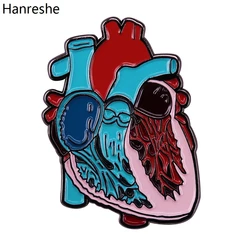 Hanreshe Anatomy Enamel Heart Brooch Pins Human Organs Internal Organs Medical Lapel Backpack Badge Gift for Nurse Doctor