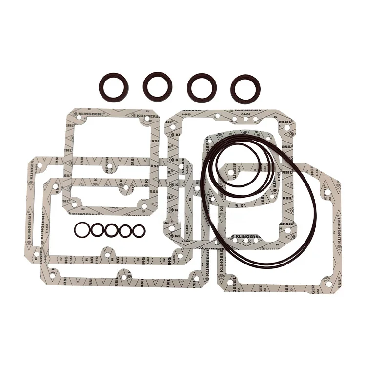 1PCS NEW Fit for busch RA0302D RA0250D Vacuum Pump Repair Kit Maintenance Kit