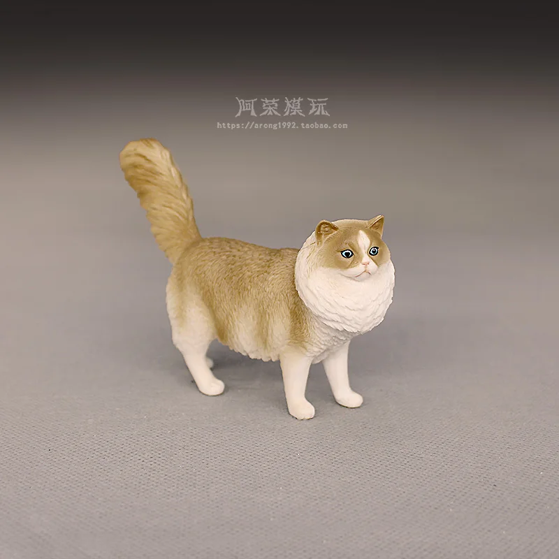 Simulazione cognitiva Pet Cat Modello animale Sphynx Cat Gatto senza peli Ragdoll Action Figures Accessori per ornamenti Giocattoli in miniatura