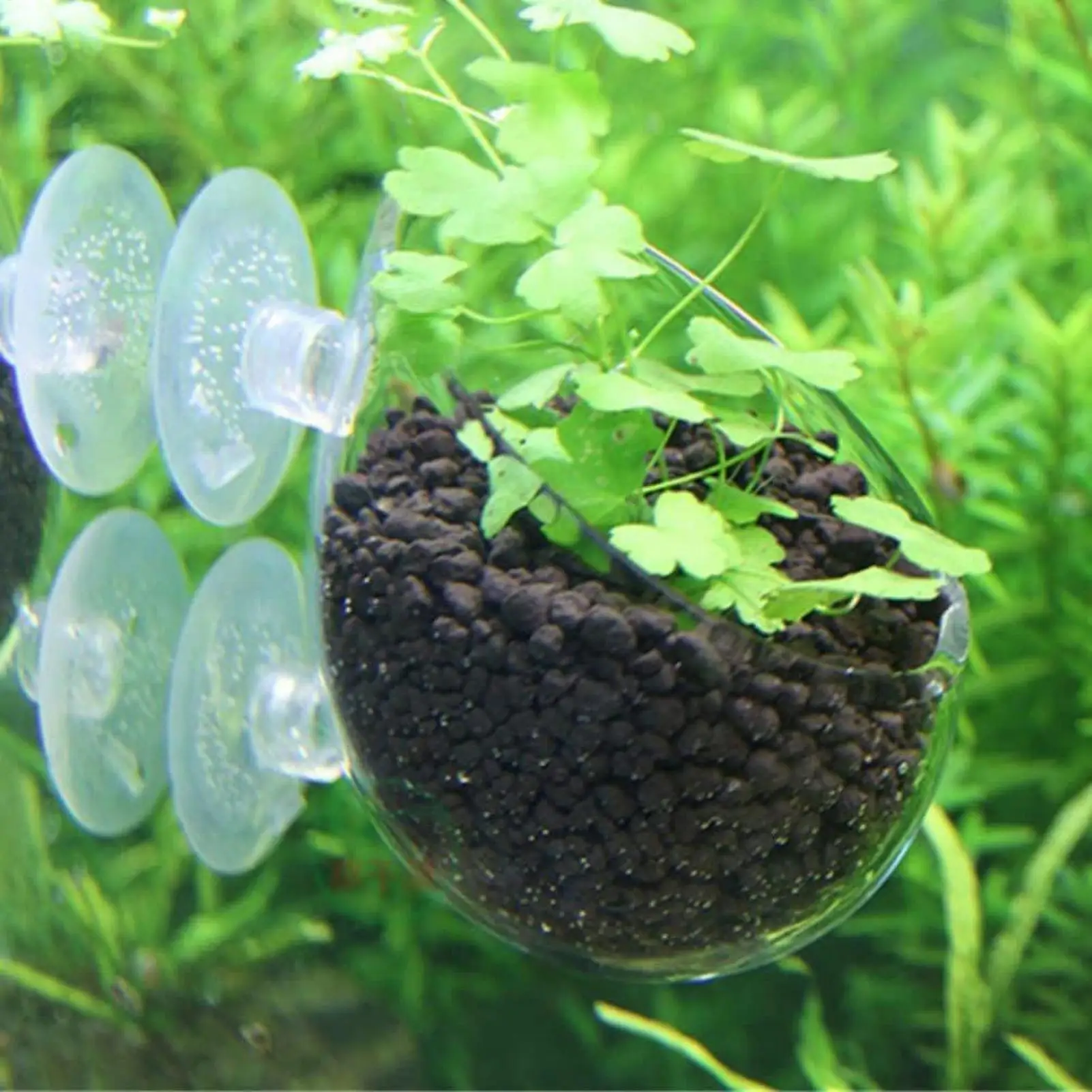 Acrylic Aquatic Plant Cup Aquarium Fish Tank Glass Plant Pot with suction holder Feeding Container Stand for Aquarium Lanscape