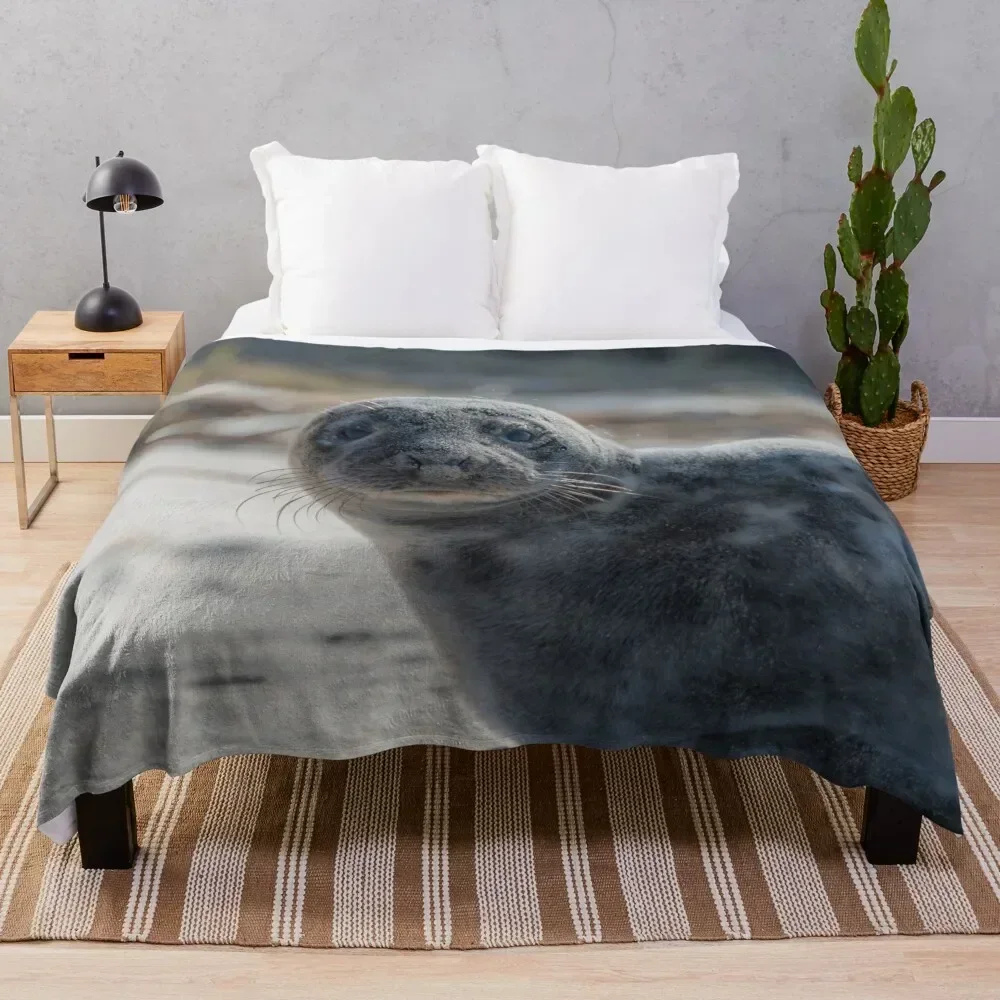 

Sweet Baby Seal on a Beach Looking At You with Big Eyes Throw Blanket Fuzzy Plush Throw Blanket for Sofa Chair