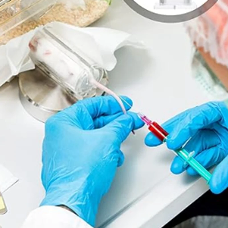 Vendita calda supporto per Mouse supporto per Mouse supporto per morsetto supporto per attrezzatura da laboratorio per gabbia per topi per iniezione addominale Plexigla