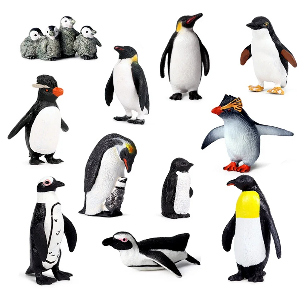 Animales marinos pingüino Club pingüinos juguete figuras de animales Sealife figuras de animales figura de acción juguete para niños regalos