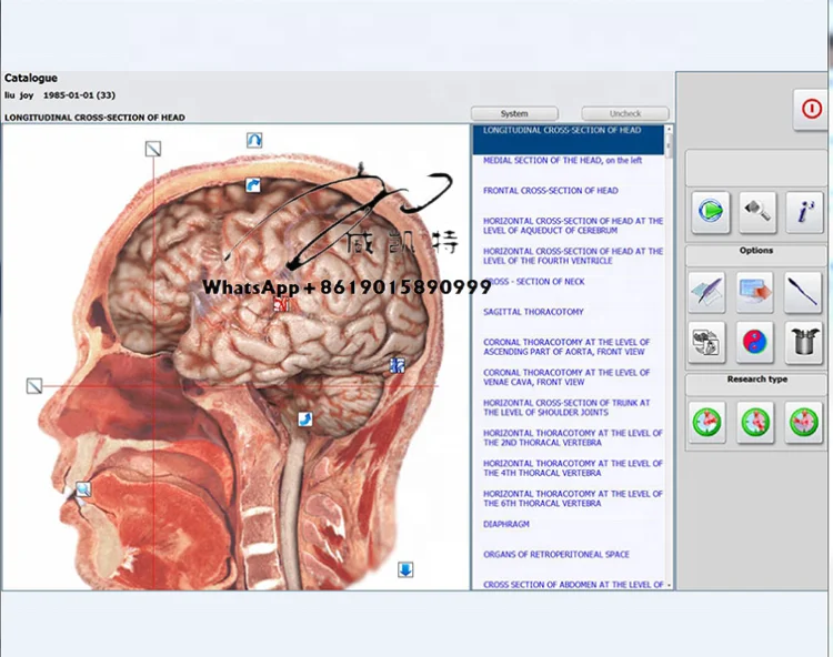 new products complementary and alternative medicine bio scan body health analyzing device hunter 4025 NLS With headset