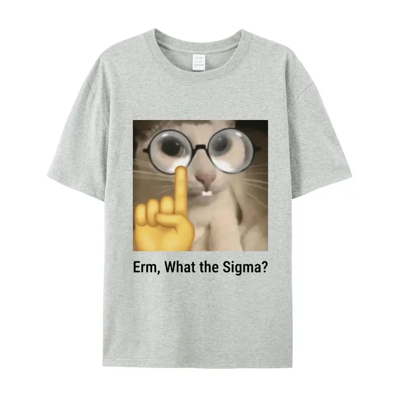 Erm, what Sigma? Funny Meme T-shirt For Men Women Silly Cat Humor Printed Fashion Tops  O-Neck