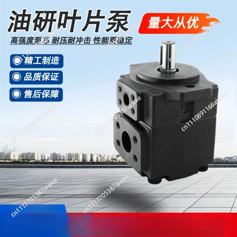 PV2R1 PV2R2 PV2R3 vane pump 1PC