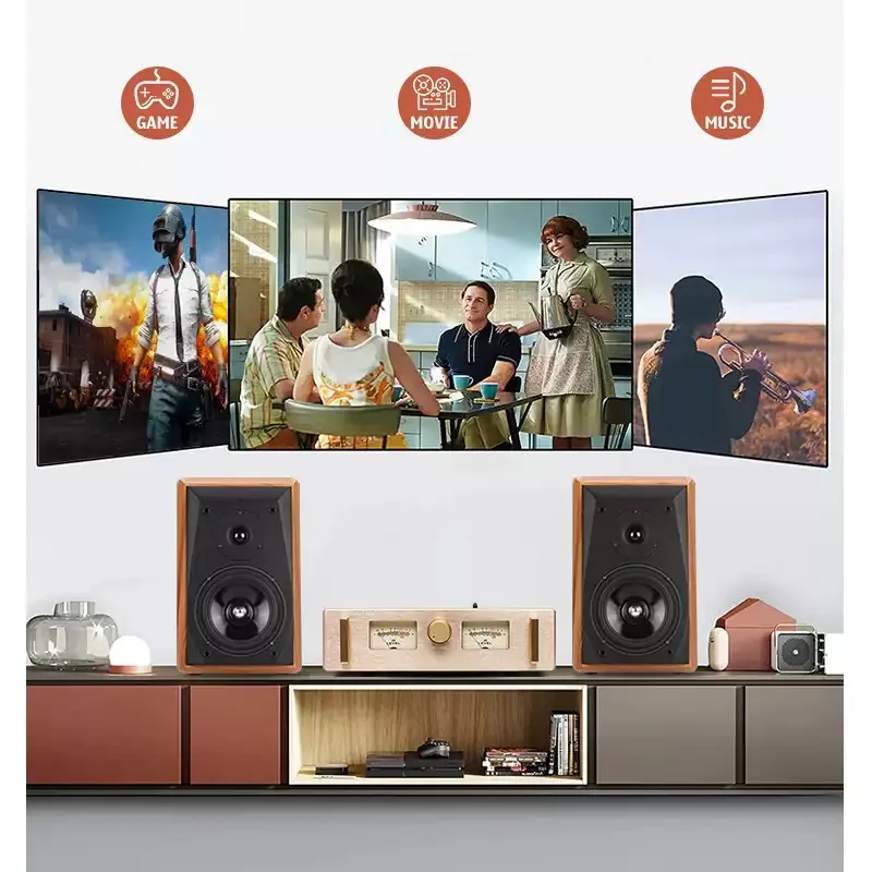 BREEZE 2025 A100SE HIFI مستوى الحمى مكبر كهربائي سطح المكتب المنزل مكبر كهربائي آلة المرارة صوت الإنسان جودة الصوت